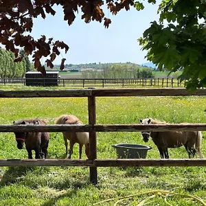 Hébergement de vacances Le Petit Paddock, Villeneuve-les-Cerfs
